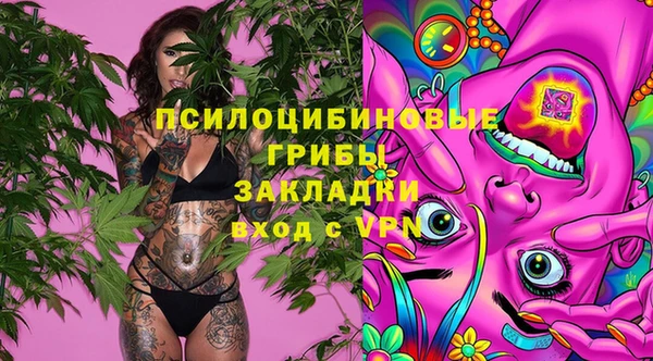амфетамин Гусев