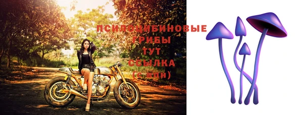 меф Гусь-Хрустальный